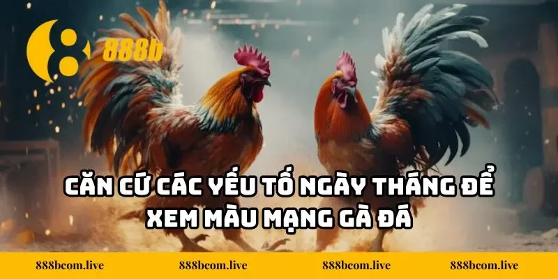 Căn cứ các yếu tố ngày tháng để xem màu mạng gà đá