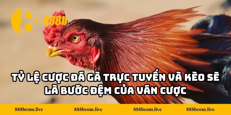 Tỷ lệ cược đá gà trực tuyến và kèo sẽ là bước đệm của ván cược