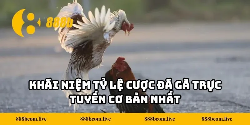 Khái niệm tỷ lệ cược đá gà trực tuyến cơ bản nhất